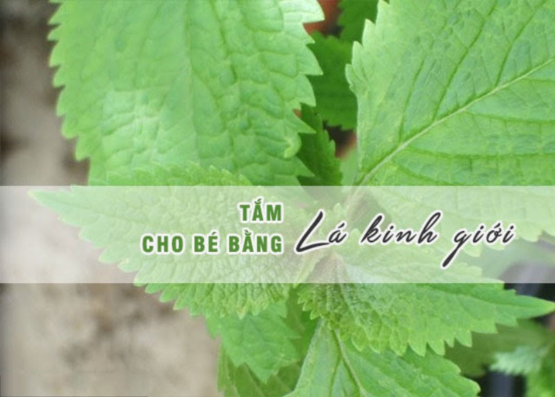 tam-la-kinh-gioi-cho-tre-so-sinh-co-tot-khong-4.jpg